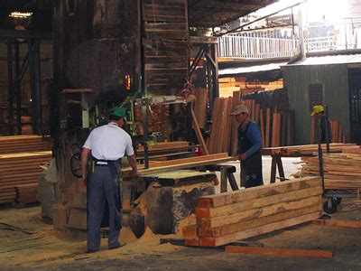 木材 工廠